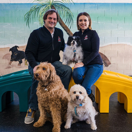 Two adults and three dogs pose together next to a play ramp